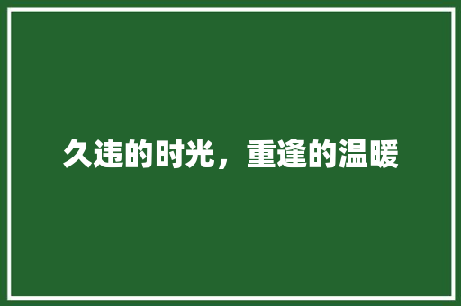 久违的时光，重逢的温暖