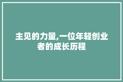 主见的力量,一位年轻创业者的成长历程