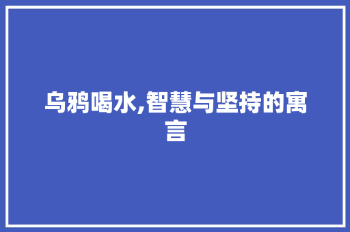 乌鸦喝水,智慧与坚持的寓言