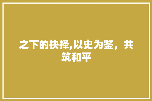 之下的抉择,以史为鉴，共筑和平