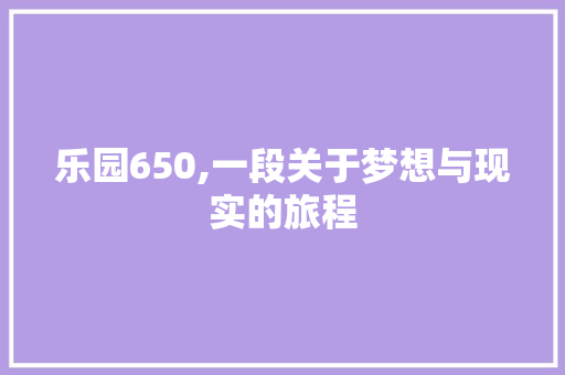 乐园650,一段关于梦想与现实的旅程