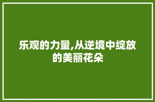 乐观的力量,从逆境中绽放的美丽花朵