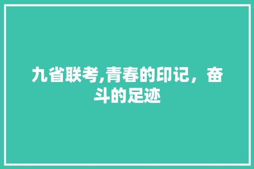 九省联考,青春的印记，奋斗的足迹