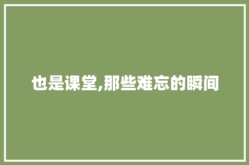 也是课堂,那些难忘的瞬间