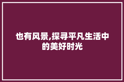 也有风景,探寻平凡生活中的美好时光