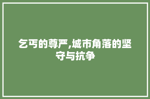 乞丐的尊严,城市角落的坚守与抗争