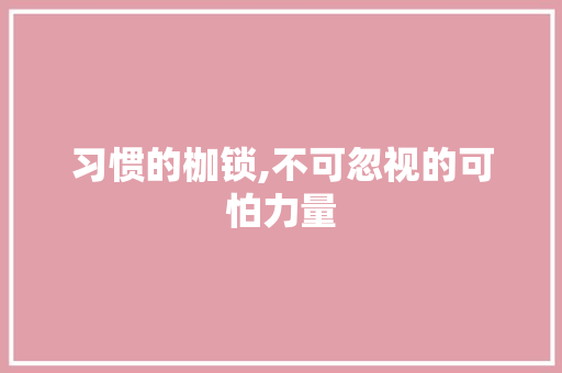 习惯的枷锁,不可忽视的可怕力量