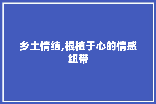 乡土情结,根植于心的情感纽带