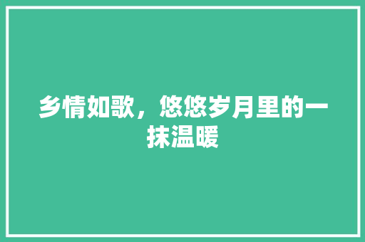 乡情如歌，悠悠岁月里的一抹温暖