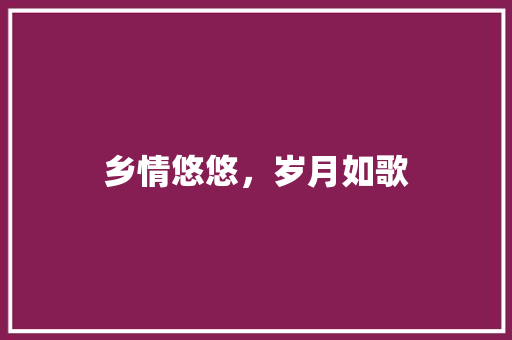 乡情悠悠，岁月如歌