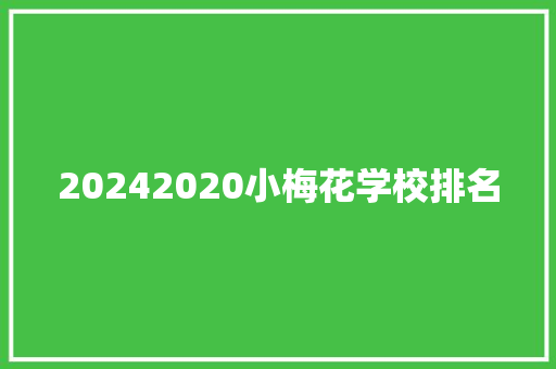 20242020小梅花学校排名 未命名