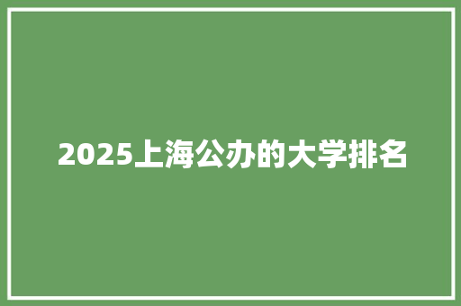 2025上海公办的大学排名 未命名