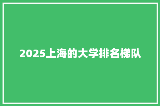 2025上海的大学排名梯队 未命名