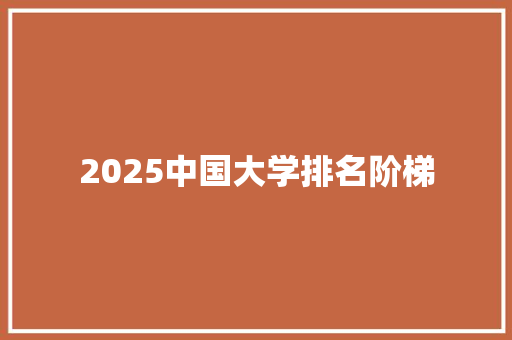 2025中国大学排名阶梯 未命名