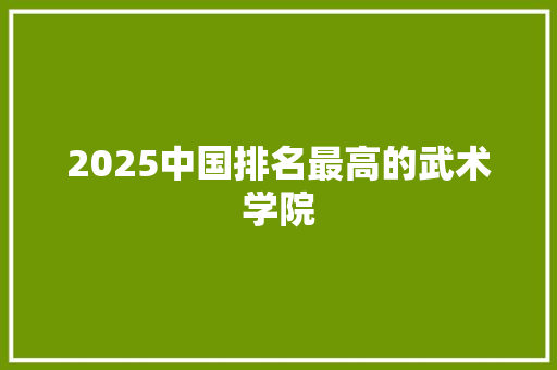 2025中国排名最高的武术学院 未命名