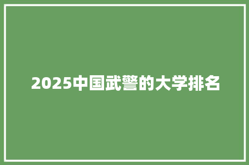 2025中国武警的大学排名 未命名