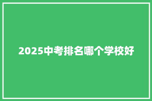 2025中考排名哪个学校好