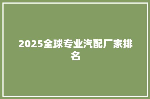 2025全球专业汽配厂家排名