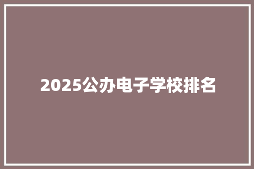 2025公办电子学校排名 未命名