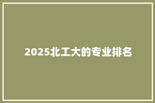 2025北工大的专业排名