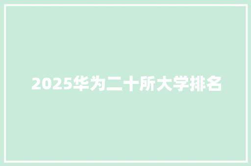 2025华为二十所大学排名 未命名