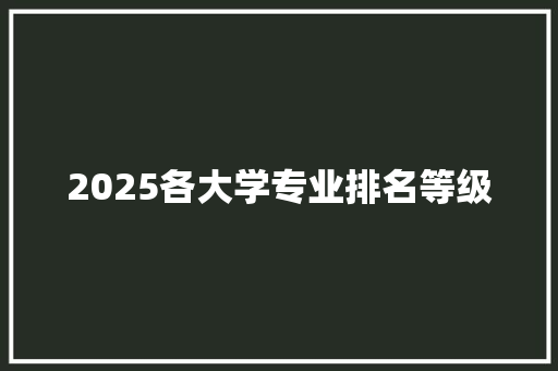 2025各大学专业排名等级 未命名