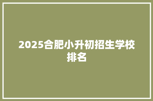 2025合肥小升初招生学校排名 未命名