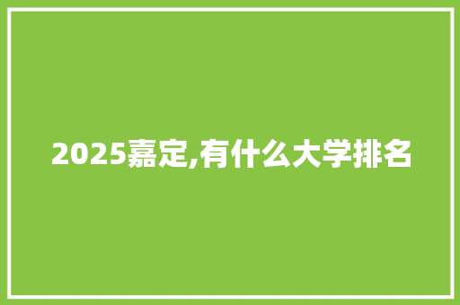 2025嘉定,有什么大学排名