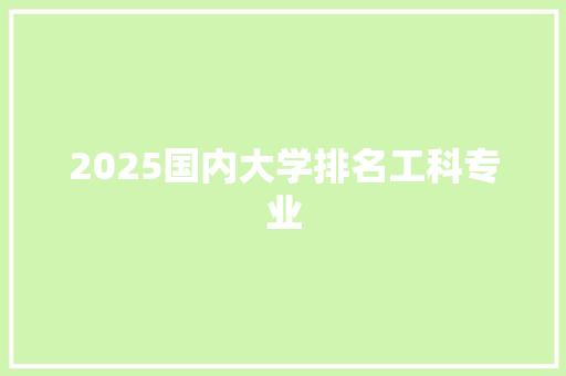 2025国内大学排名工科专业 未命名