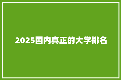 2025国内真正的大学排名 未命名