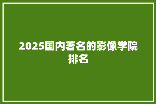 2025国内著名的影像学院排名