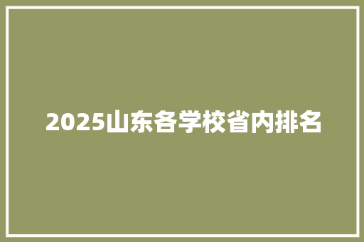 2025山东各学校省内排名