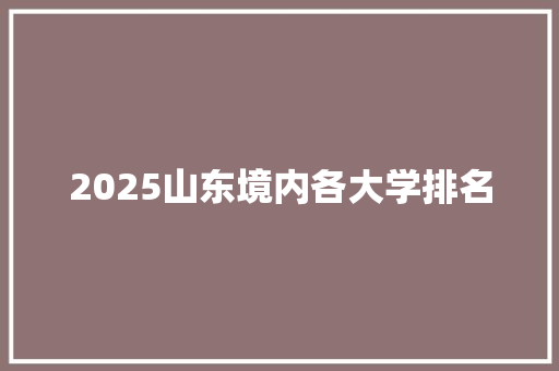 2025山东境内各大学排名 未命名