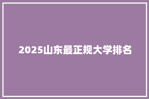 2025山东最正规大学排名 未命名