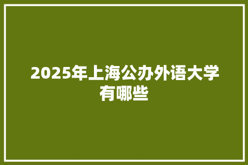 2025年上海公办外语大学有哪些 未命名