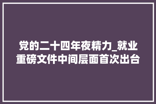 党的二十四年夜精力_就业重磅文件中间层面首次出台二十四条 申请书范文