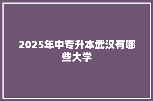 2025年中专升本武汉有哪些大学 未命名