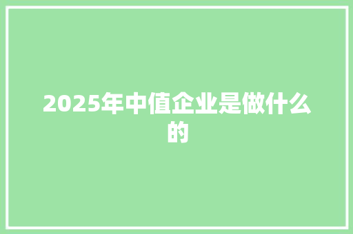 2025年中值企业是做什么的