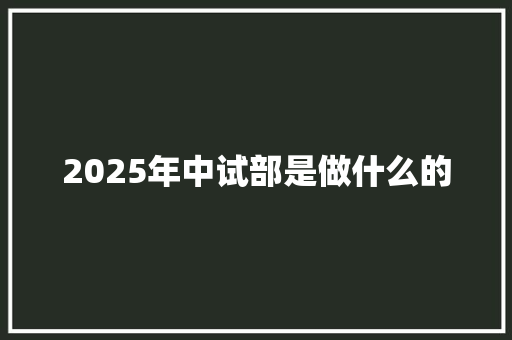 2025年中试部是做什么的