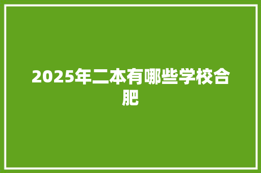 2025年二本有哪些学校合肥 未命名