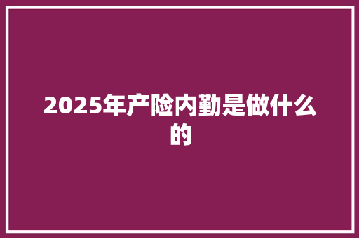 2025年产险内勤是做什么的