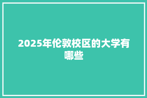 2025年伦敦校区的大学有哪些