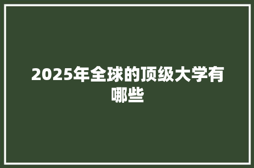 2025年全球的顶级大学有哪些