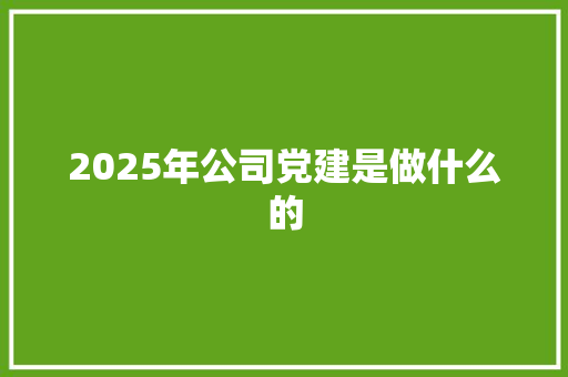 2025年公司党建是做什么的