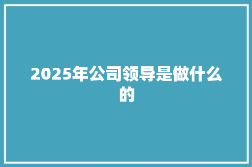 2025年公司领导是做什么的 未命名