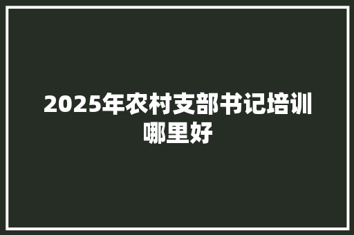 2025年农村支部书记培训哪里好 未命名