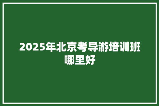 2025年北京考导游培训班哪里好 未命名