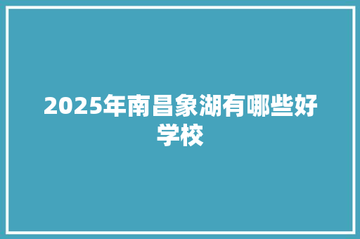 2025年南昌象湖有哪些好学校 未命名