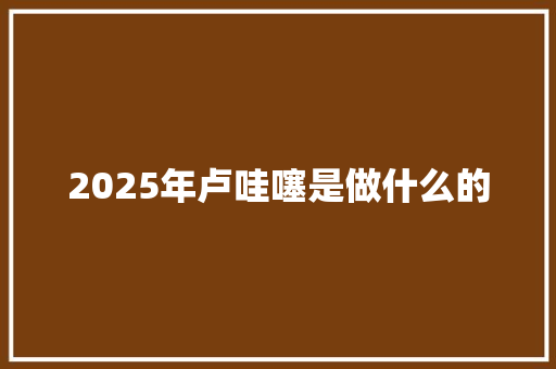 2025年卢哇噻是做什么的