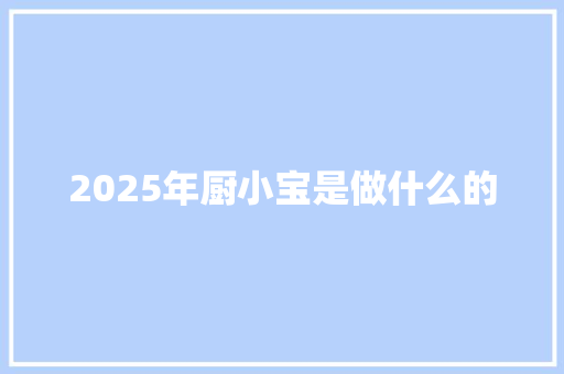 2025年厨小宝是做什么的 未命名